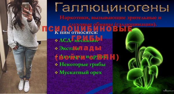 индика Абдулино