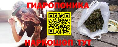 дмт Обь