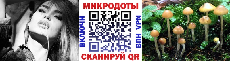 Галлюциногенные грибы Cubensis  Электросталь 