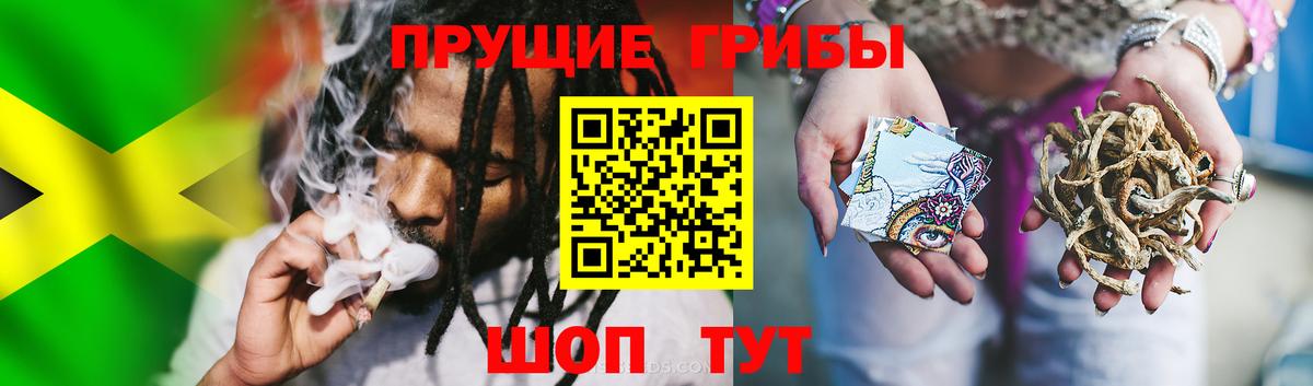 Псилоцибиновые грибы прущие грибы Электросталь